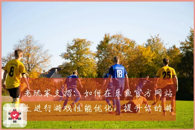 老玩家支招：如何在乐鱼官方网站上进行游戏性能优化，提升你的游戏体验！