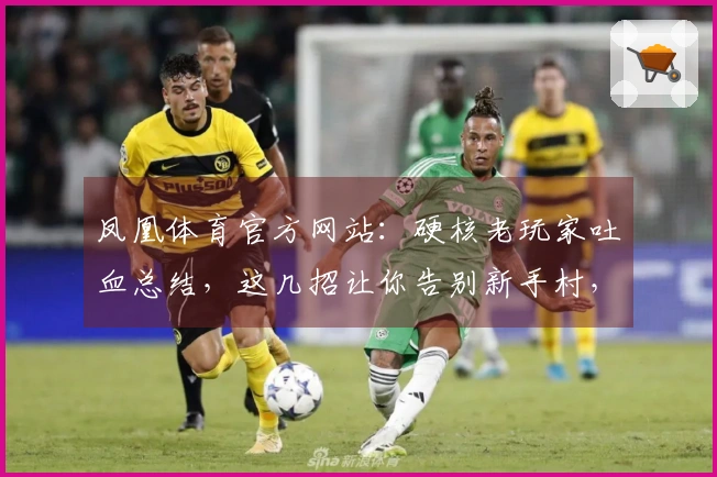 凤凰体育官方网站：硬核老玩家吐血总结，这几招让你告别新手村，瞬间提升游戏体验